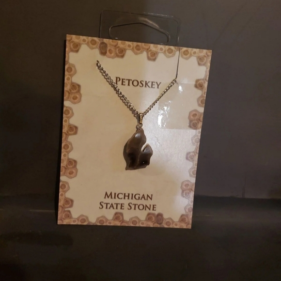 Michigan SHAPED Petosky STONE Pendant NECKLACE Gift - Picture 7 of 8